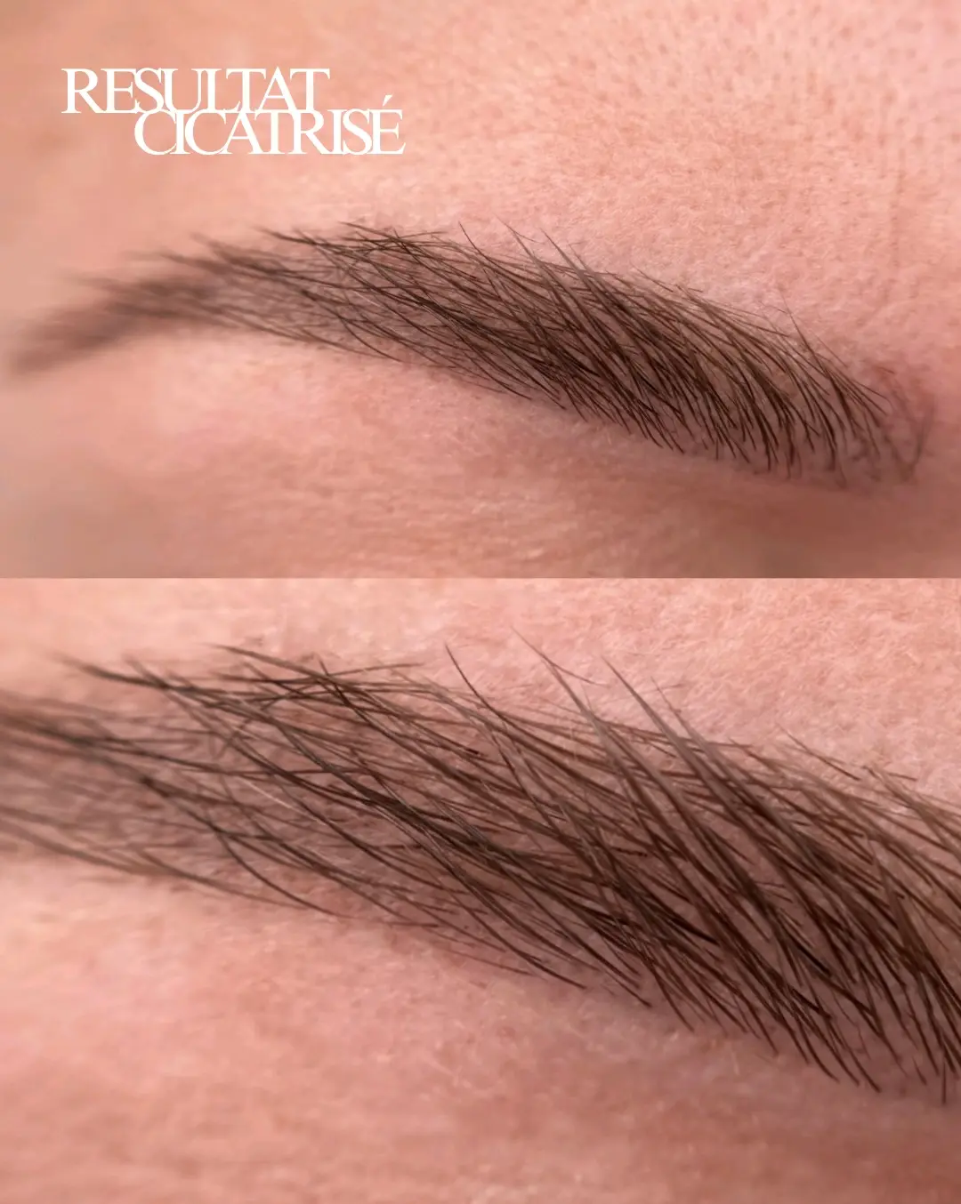 Sourcils — effet poil à poil